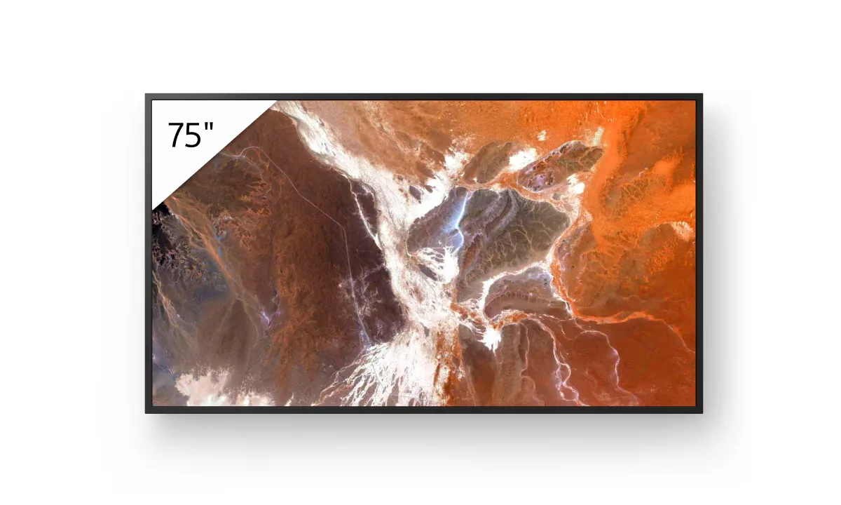 Sony FW-BZ30P