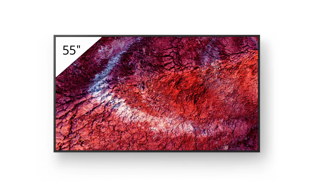 Sony FWBZ40P