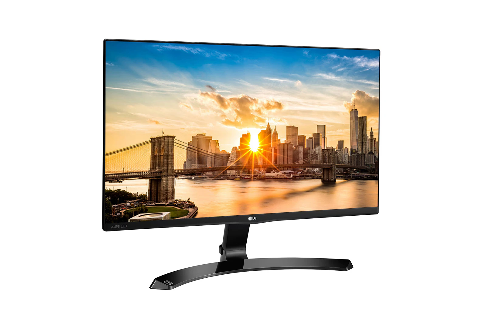 LG IPS Monitor