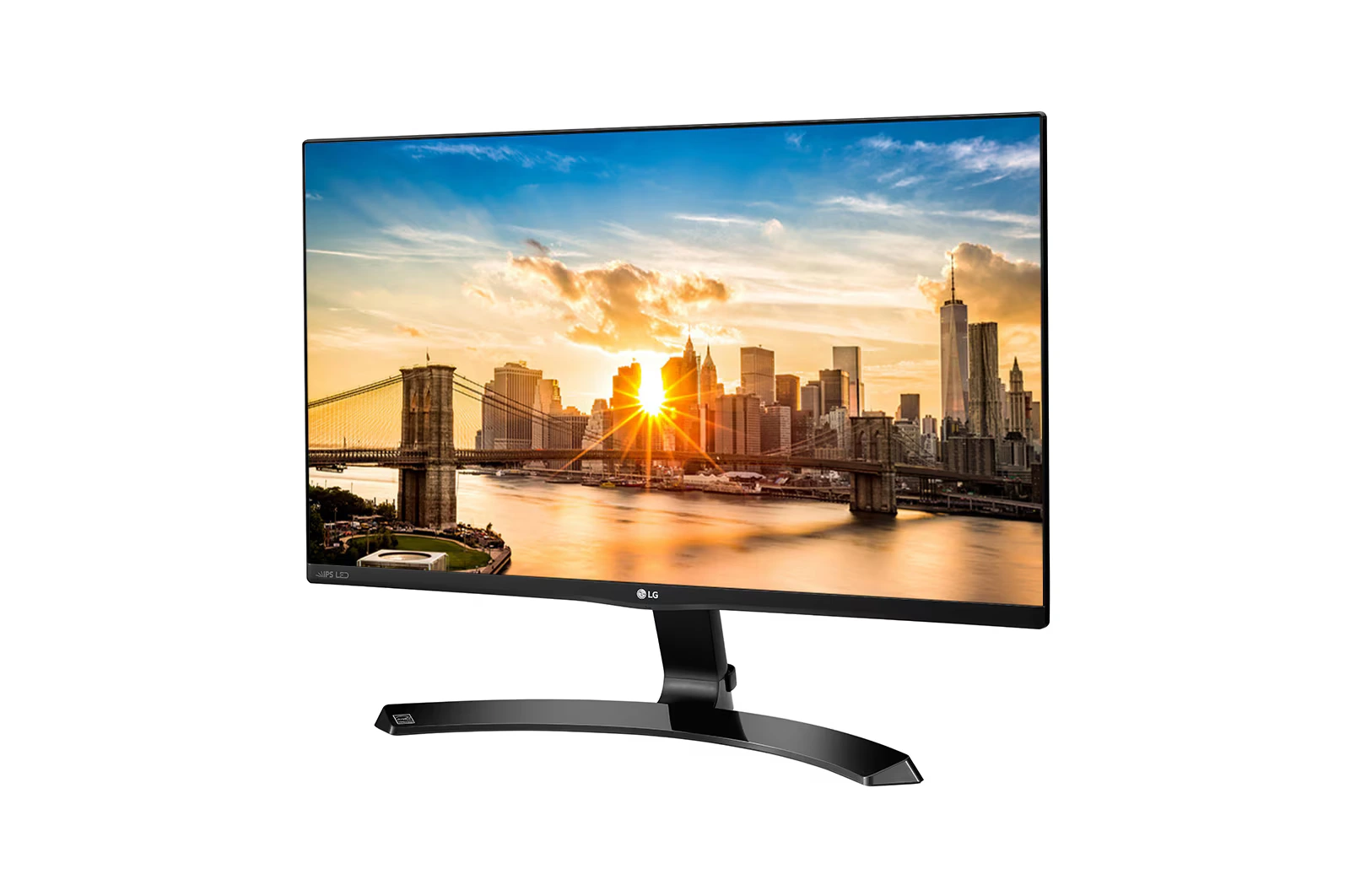 LG IPS Monitor