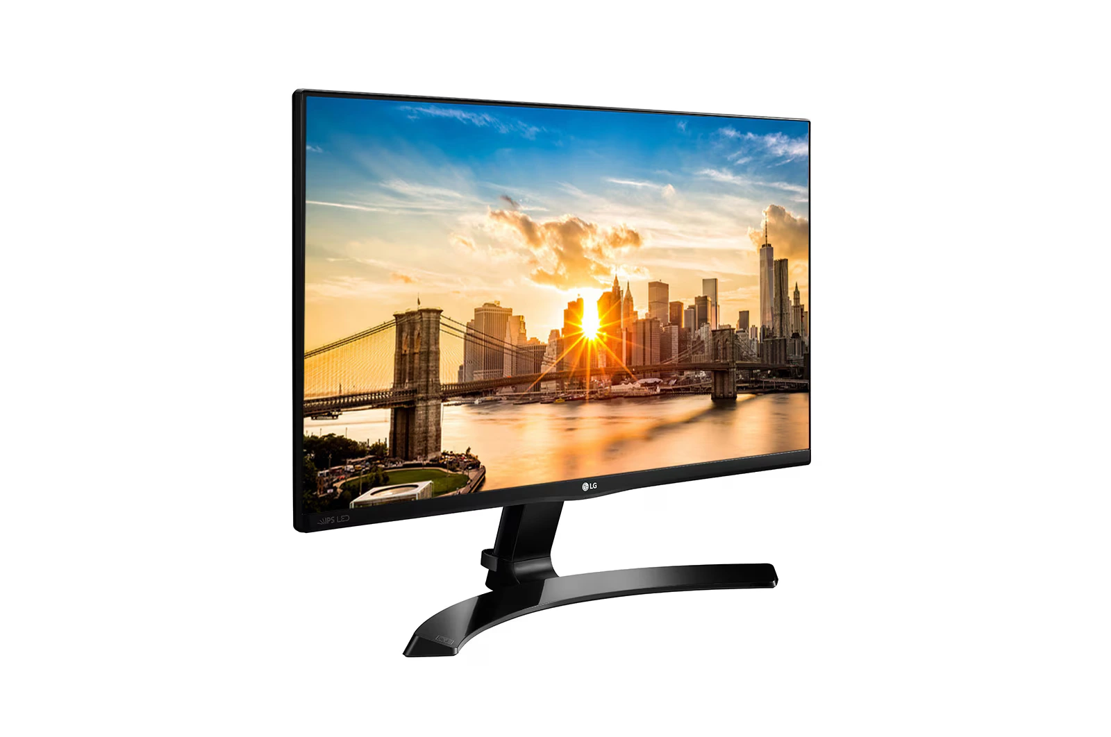 LG IPS Monitor